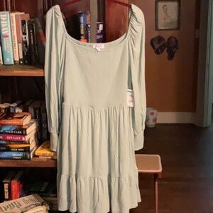 BB Dakota Sage Green Textured Dress